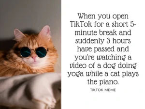 Tiktok Addiction Meme